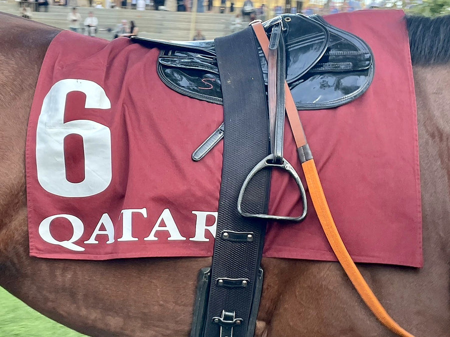 RS Carbon stirrup on a racing saddle at the Arc de Triomphe